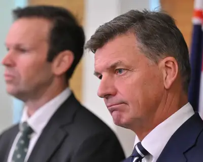 Coalition backs One Nation bill to bar terror-linked Australians from returning