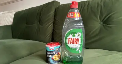 Couch cleaning: baking soda beats washing up liquid in test