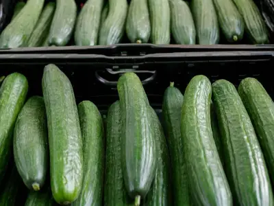 Cucumber storage hack keeps them fresh for 19 days