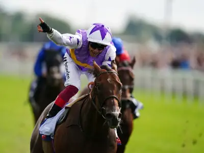 Daily Star Ebor Festival pullouts: tips, offers and race previews