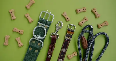 Dog expert reveals 3 popular breeds he'd never own