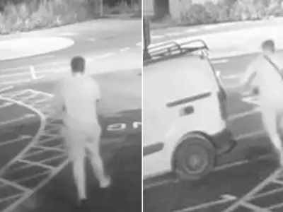 Dog found dead in burning car at McDonald's car park; man arrested