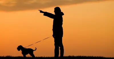 Dog owners urged to adjust evening walks for UK solar eclipse