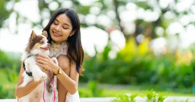 Dog trainer warns picking up your pet in public causes major issue