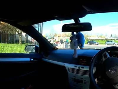 Driver whose view was blocked by toys killed pensioner in Wakefield