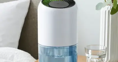Dunelm 1L dehumidifier cuts to £20 as UK heavy rain hits