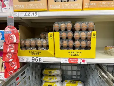 Egg safety checks amid UK salmonella outbreak with 200 cases