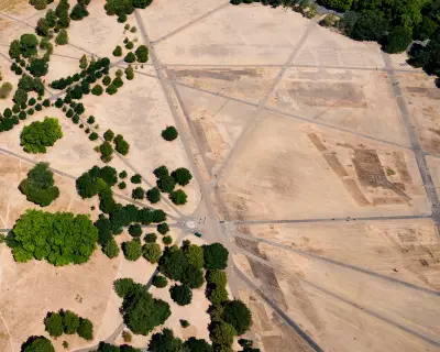 England's climate change demands new planting choices