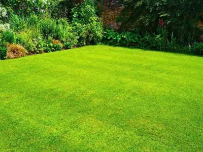 Epsom Salt for Greener Lawns: Gardeners' Secret