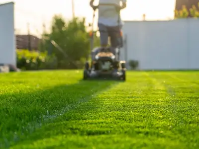 Epsom Salt Trick for a Greener, Thicker Lawn This Summer