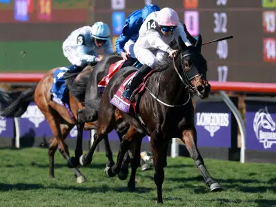 Ethical Diamond tipped to shine again at Leopardstown