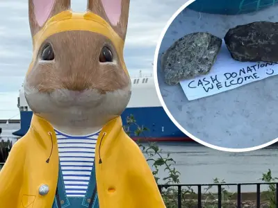 Fake donation pot found on Peter Rabbit trail