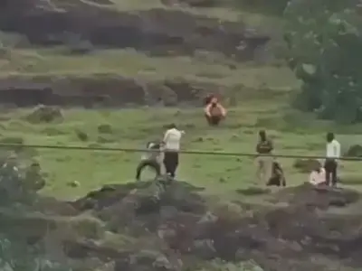 Family of three die in cliff plunge after phone row in India