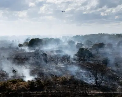 Farmers Urge Temporary Ban on Disposable Barbecues