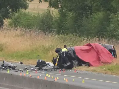 Five teen boys killed in M9 crash named locally