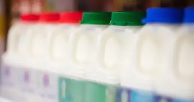 Full-fat milk healthiest: study debunks skimmed and semi-skimmed myths