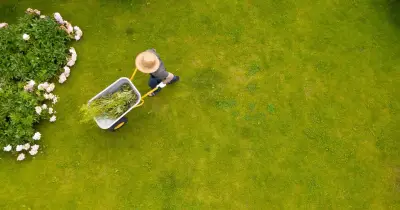 Gardeners urged to follow '4 step method' for lush green lawn