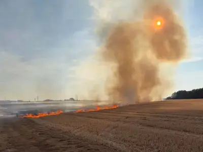 Helium balloon sparks field fire and power cut in Nottinghamshire