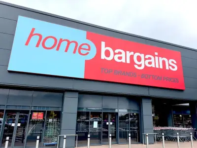 Home Bargains £6 solar lights add 'enchanting touch' to gardens