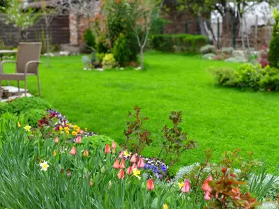 How to revive your lawn after the heatwave – and mistakes to avoid