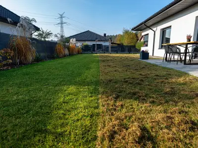 I killed lawn moss and weeds in 3 hours using Monty Don's method
