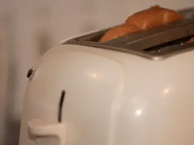 I Tried 3 Ways to Banish Kitchen Flies — The Best Cost Only 44p