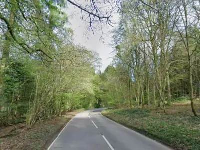 Illegal rave shut down in Welsh woodland after complaints