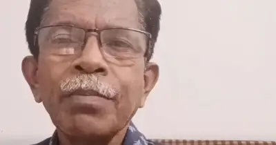 Indian commentator arrested over rape remarks