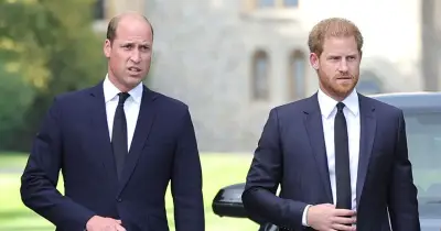 Jennie Bond: Diana would have ended Harry and William's feud