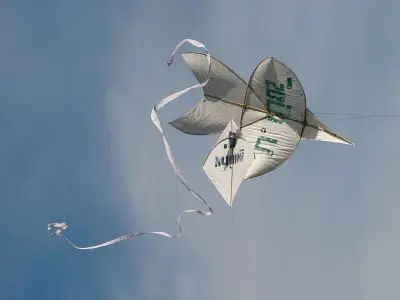 Kite-fighting on Welsh beaches raises safety and wildlife fears