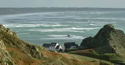 Lifeguard punches 12ft shark as Jersey beach closed after sighting