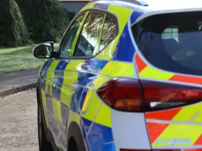 M9 crash horror as multiple dead and four injured including child
