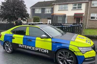 Man arrested after body found next to injured girl in Co Tyrone
