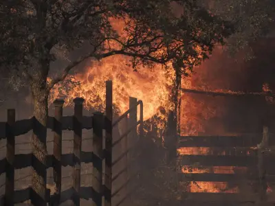 Man Arrested Over Wildfire Says 'This Will Destroy My Life' as Body Found