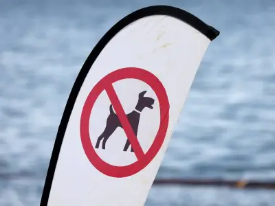Mass protest planned as dog owners fight back over beach ban