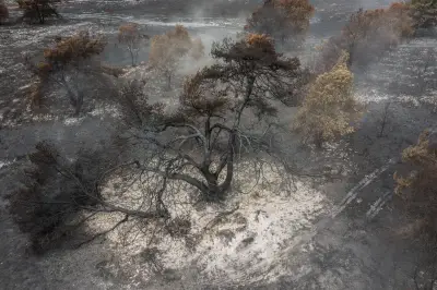 National Trust warns public to stay away from Dunwich Heath amid fire risk