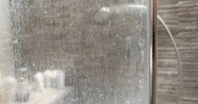 Natural Item Cleaners Swear By for Limescale-Free Shower Screens