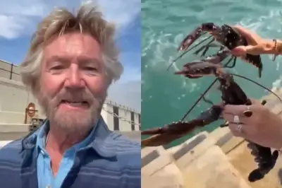 Noel Edmonds criticised for releasing lobsters into the sea
