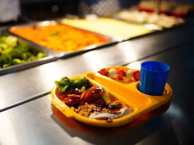 North East councils defend school meals amid national breach report