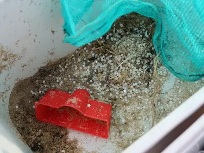 Nurdle clean-up 'race against time' as spring tide nears
