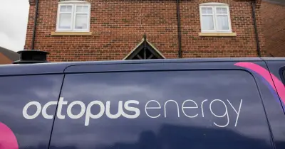 Octopus Energy pays £245 to 405,000 UK solar households