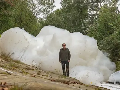 Oldham fire: hundreds of fish die as foam pollutes River Tame