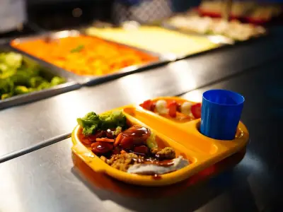 Parents urged to check free school meals eligibility after rule change