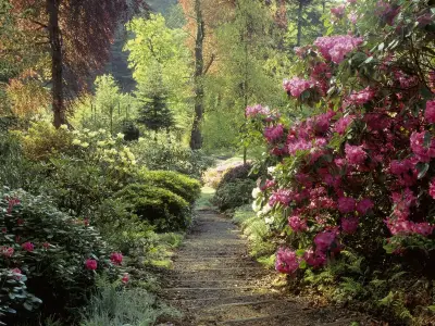 Pembrokeshire's Colby Woodland Garden: A Hidden 18th-Century Coalfield