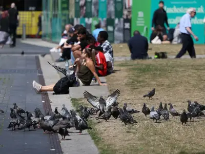 Piccadilly Gardens revamp and hundreds of flats among latest GM plans