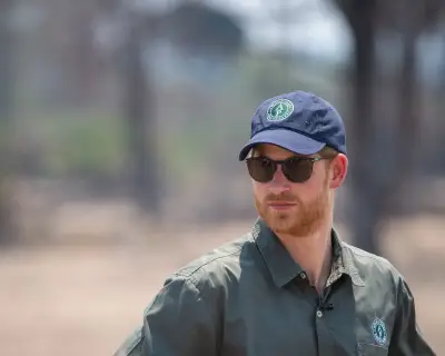 Prince Harry quits African Parks board over human rights abuses