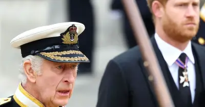 Prince Harry's UK return 'about King Charles' money', claims TV star