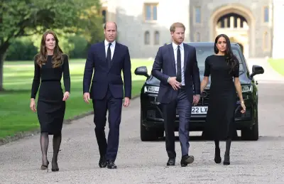 Prince William and King Charles reportedly united against Harry and Meghan return as working royals