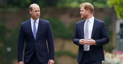 Prince William 'pressured' to be 'bigger brother' and reunite with Harry after UK return