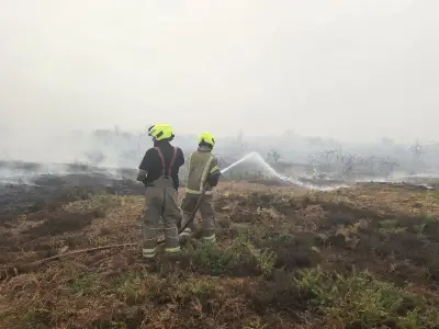 Rewilding blamed for wildfire risk after Minsmere blaze